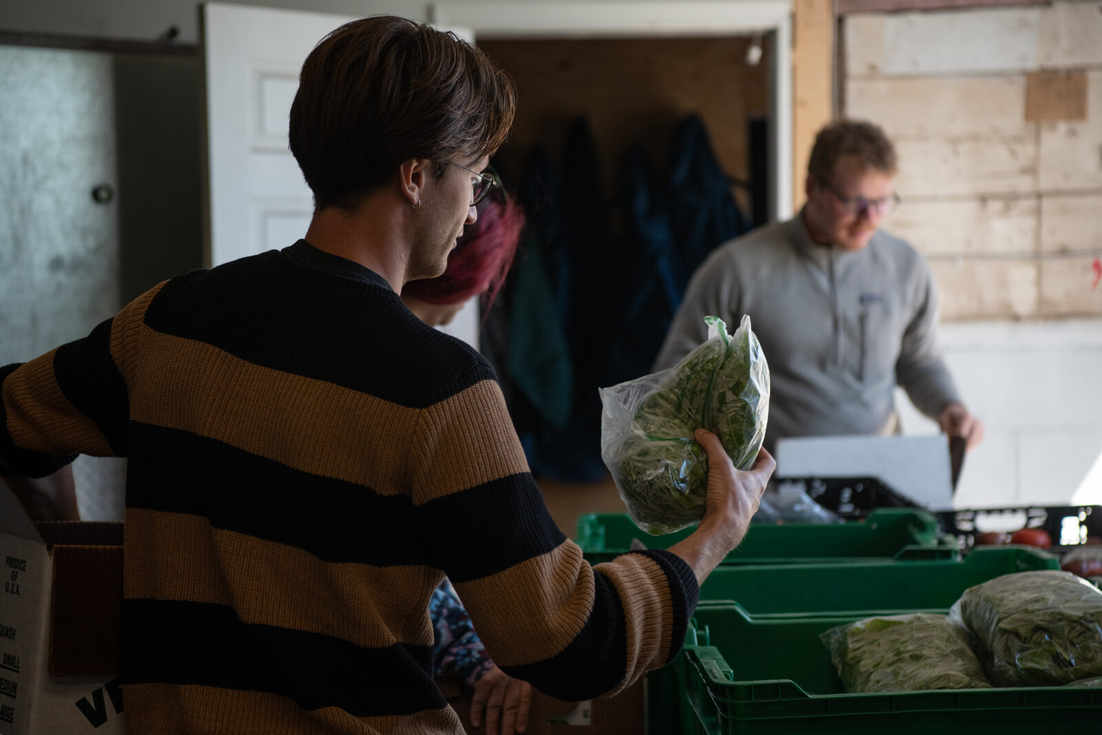 Community volunteers preparing fresh food boxes