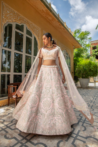 Baby Pink Zarkan Work Net Semi Stitched Lehenga Choli With Net Dupatta