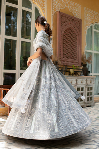 Grey Fully Zarkan Net Base Semi Stitched Glamorous Glitterati Lehenga Choli With Net Dupatta