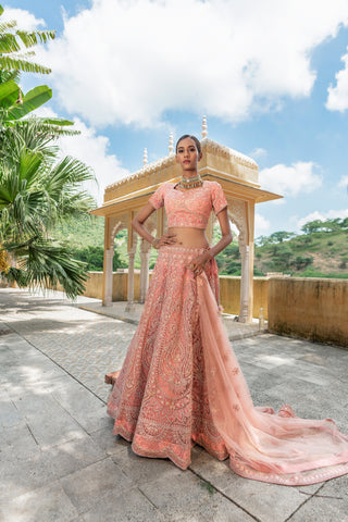 Peaches Pink Zarkan Work Net Semi Stitched Lehenga Choli With Net Dupatta