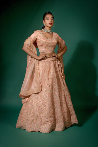 Peach Net Embroidered Semi Stitched Lehenga And Unstitched Choli