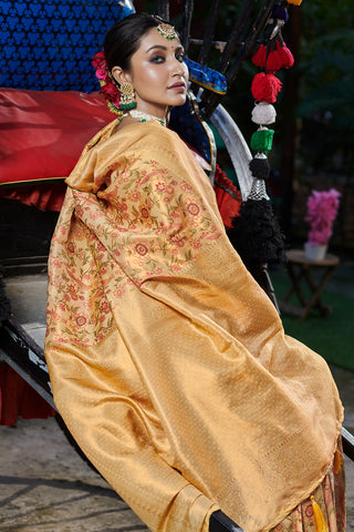 Banarasi Radiance Orange Banarasi Silk Saree